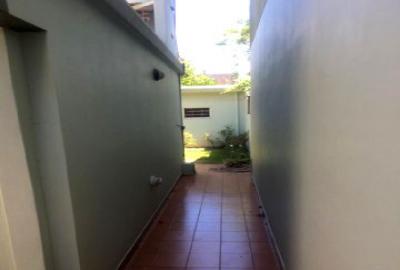 Previsualizar